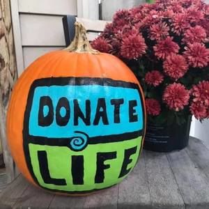 Meet your Posher, Ellen crippen